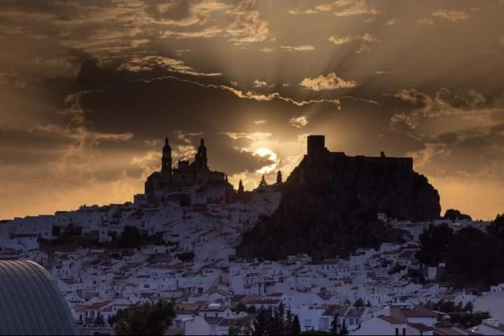 Los Girasoles Olvera Exteriér fotografie