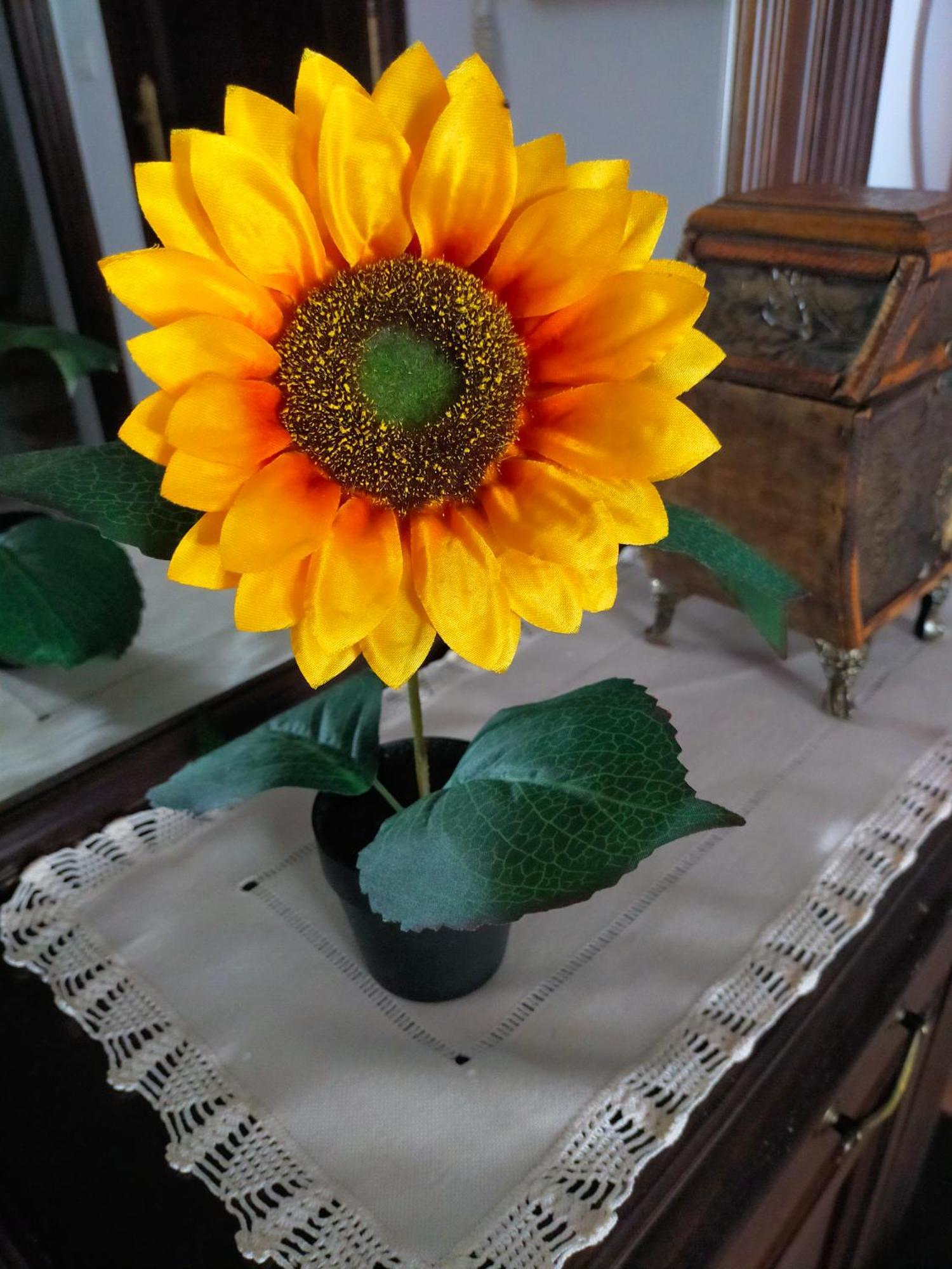 Los Girasoles Olvera Exteriér fotografie